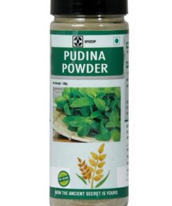 Pudina Powder (120 Gram)