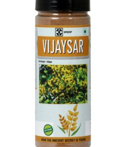 Vijaysar Powder (160 Gram)