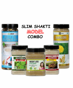 SlimShakti Model Combo I Belly Fat Trimming I Targeted Weight Loss